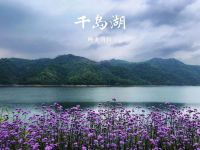 千岛湖水岛花海民宿 - 特价双床房