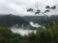 安吉青静谷民宿 - 远山