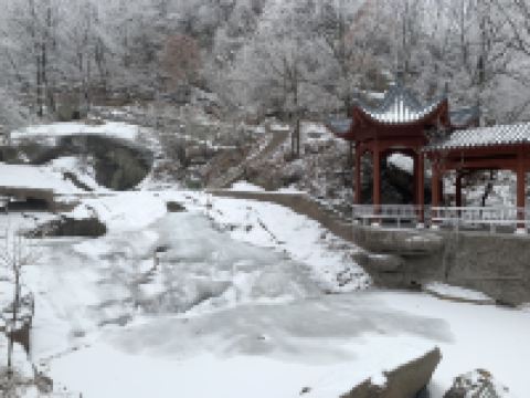 汝阳绿野风情客栈 - 舒适三人间