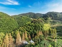 永泰云德山庄 - 大床房