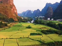 Tea  House - suối nước nóng