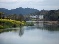 婺源一川一宿河景森系民宿 - 其他