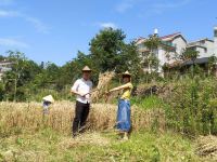 磐安山森三室民宿 - 大床房