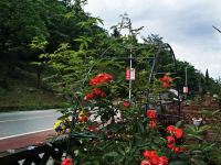 重庆恺恺居度假别墅 - 花园二室一厅套房