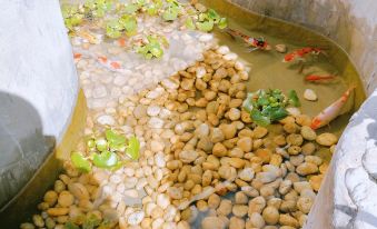 Suzhou Xugusu Homestay(Humble Administrator's Garden)