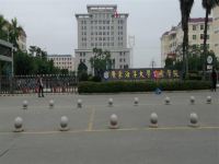 湛江英文公寓 - 温馨单人房