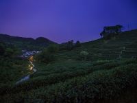 杭州龙井茂居酒店 - 茶田景观大床房