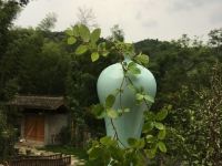 台州陈峰阳光和水公寓 - 一室二床房