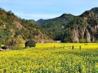 缙云归园居民宿 - 田园