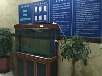 常州丁丁宾馆 - 3人房