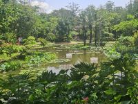 西双版纳程妈妈旅居康养民宿 - 节制傣家木屋双床房