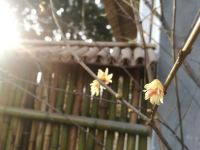 蒲江云章乡居民宿 - 文艺民宿大床房二月
