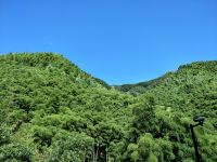 杭州红树林山庄 - 舒适花园一室单床房