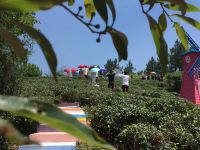 湖州莫干山逸轩居独栋别墅 - 六室二厅套房