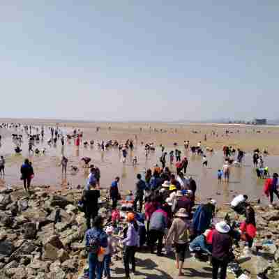 茶如人生度假別墅（北海路分店） Others