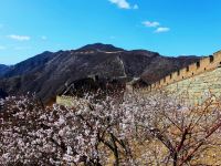 慕田峪长城城边小筑民宿 - 观景高级贵宾四人套间