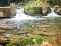 青城山来凤居客栈 - 其他