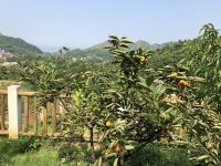 重庆莫家坡涌泉居度假别墅公寓 - 山景大床房