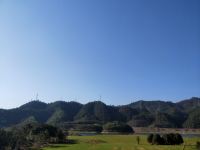 千岛湖水岛花海民宿 - 水秀双床房