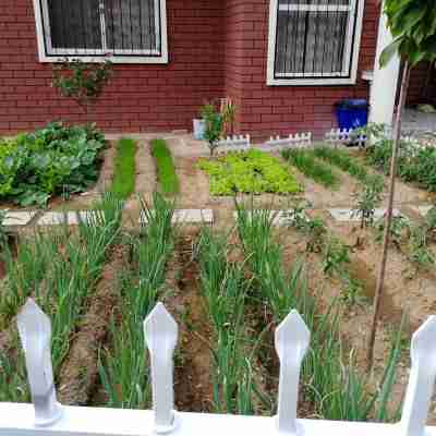 榮成華珍名酒度假別墅 Rooms