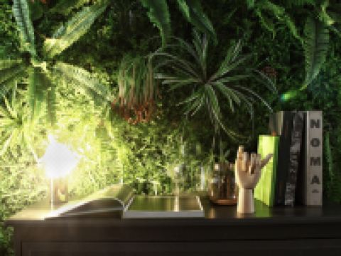 洛阳韩馥旭公寓 - 三室二厅套房