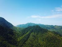 广州竹海山庄 - 一室单床房