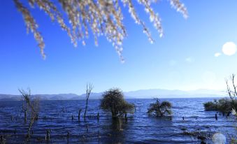 Dali Jinjia Dingrong Meiguiyuan Lake View Inn