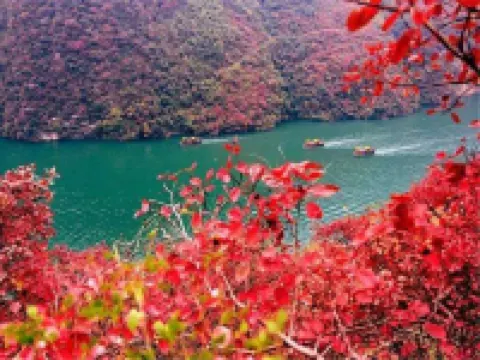 禮遇賓館 - 小旅館