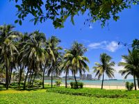 三亚椰海度假公寓 - 蜜月海景房