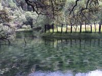 林芝艽野尘居客栈 - 观景大床房