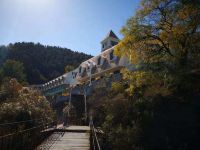 武安松林山庄 - 山景大床房