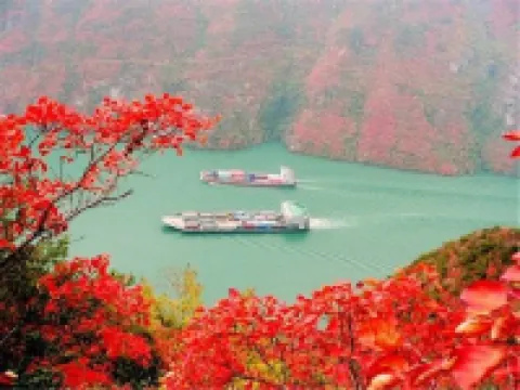 禮遇賓館 - 小旅館
