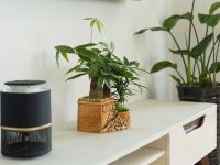 合肥 海之家精品民宿 - 精品一室一厅套房