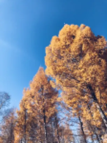 There Is No Shortage of Living Accommodation in Harbin