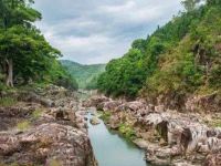 平和朝富商务公寓 - 豪华大床房