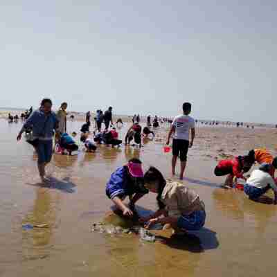 茶如人生度假別墅（北海路分店） Others