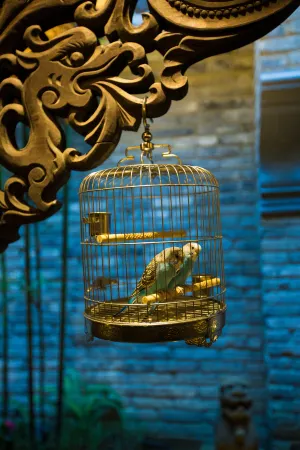 Wren Culture Boutique Hotel