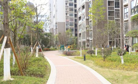Dingding Inn - Housity