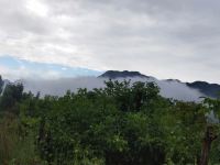 天津杨红艳民宿 - 大床房