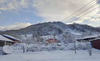Kang Homestay in Snow Valley