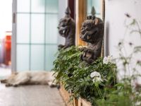 拉萨六七小筑客栈 - 花园大床房