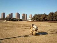 通辽旅行者科尔沁公寓 - 二室一厅套房