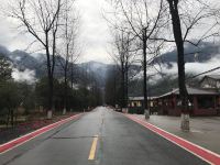 明月山山水苑农家乐 - 大床房