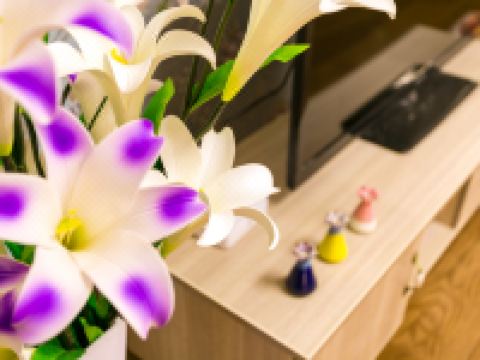 武汉湖之韵临湖美居CC橙汁公寓 - 舒适二室一厅套房