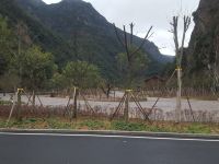 雁荡山林韵山舍民宿 - 一室单床房