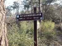 莫干山嵩溪山庄 - 舒适大床房