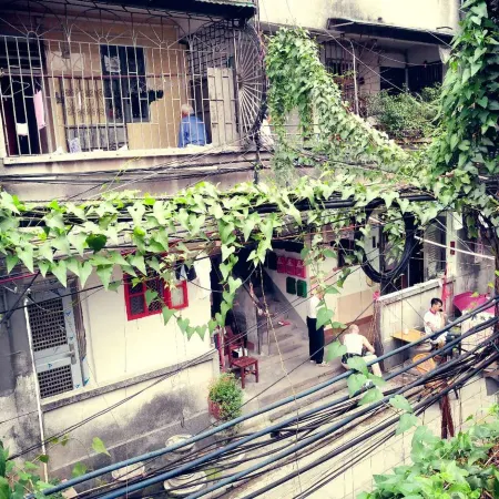 Blue Lotus Art Guesthouse