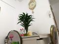haohan-s-home-apartment-no2-branch