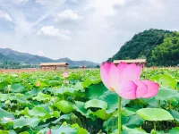 Hangzhou Yuelai Mountain Villa - Villas