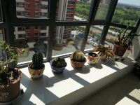 乌兰察布新时代温馨家园冉宜公寓 - 阳光三室一厅套房